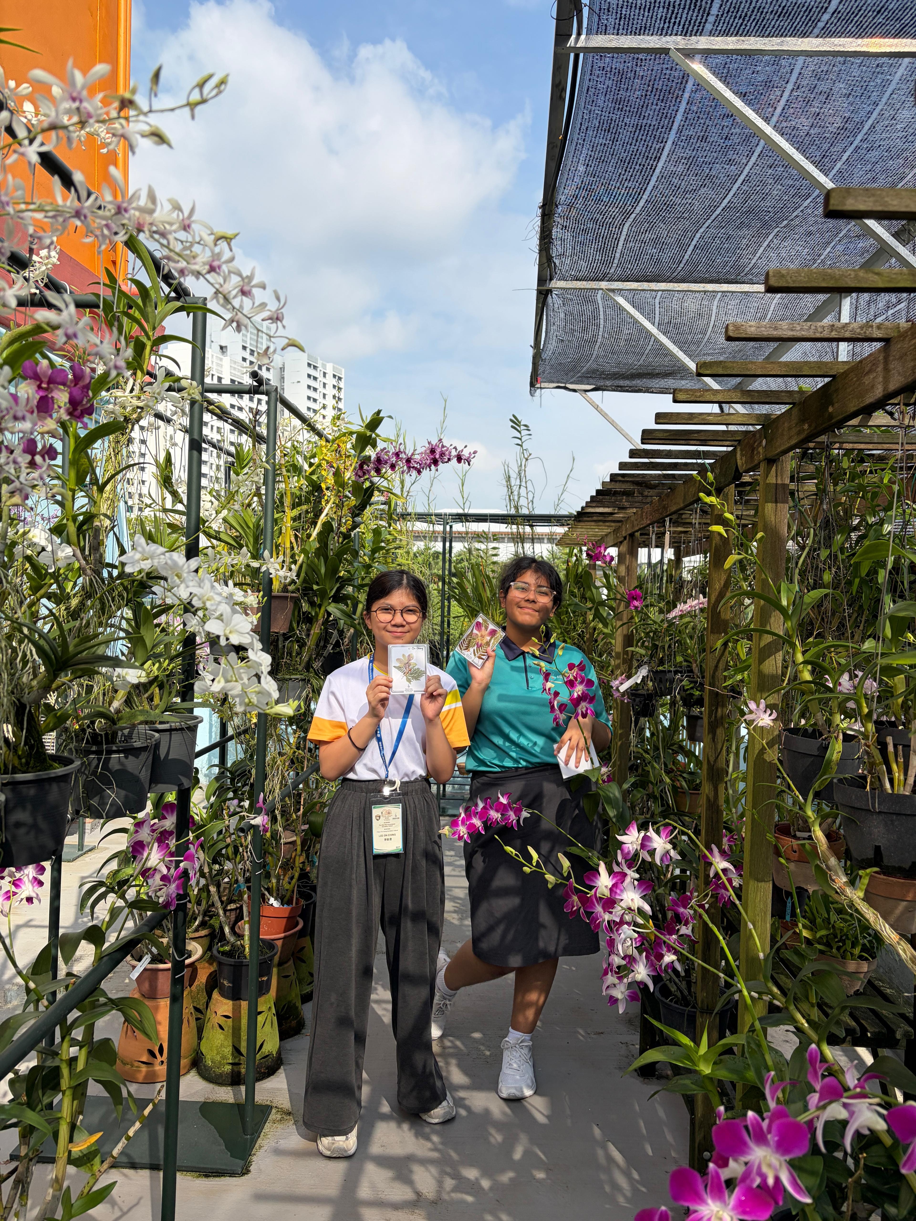 two girls standing amongst orchids